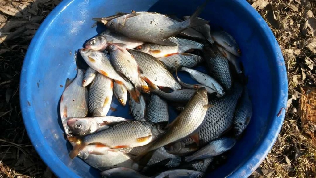 Ловля рыбы в марте на открытой воде - полезная информация